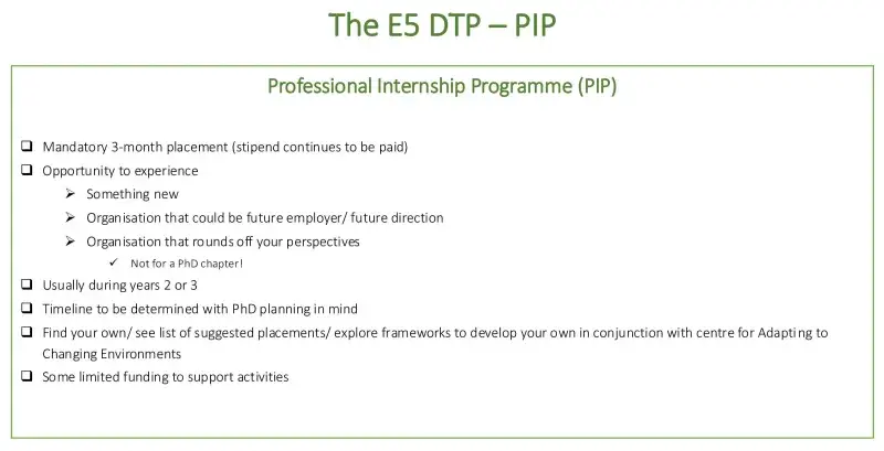 E5 PIP - Professional Internship Programme