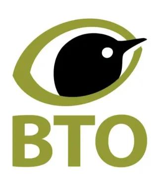 BTO